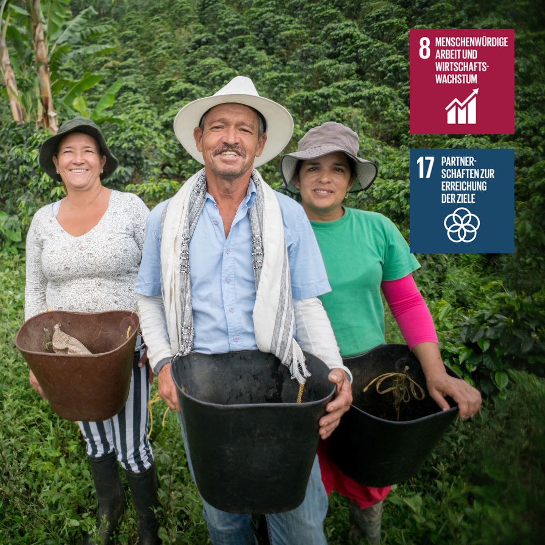 Hinter jeder Bohne stehen Menschen – Fairer Kaffeeanbau mit Gutn Kaffee Kaffeebäuerinnen und -bauern bei der Ernte, symbolisch für faire Arbeitsbedingungen und direkte Partnerschaften von Gutn Kaffee.