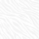 8 x 1kg Karton (6).webp