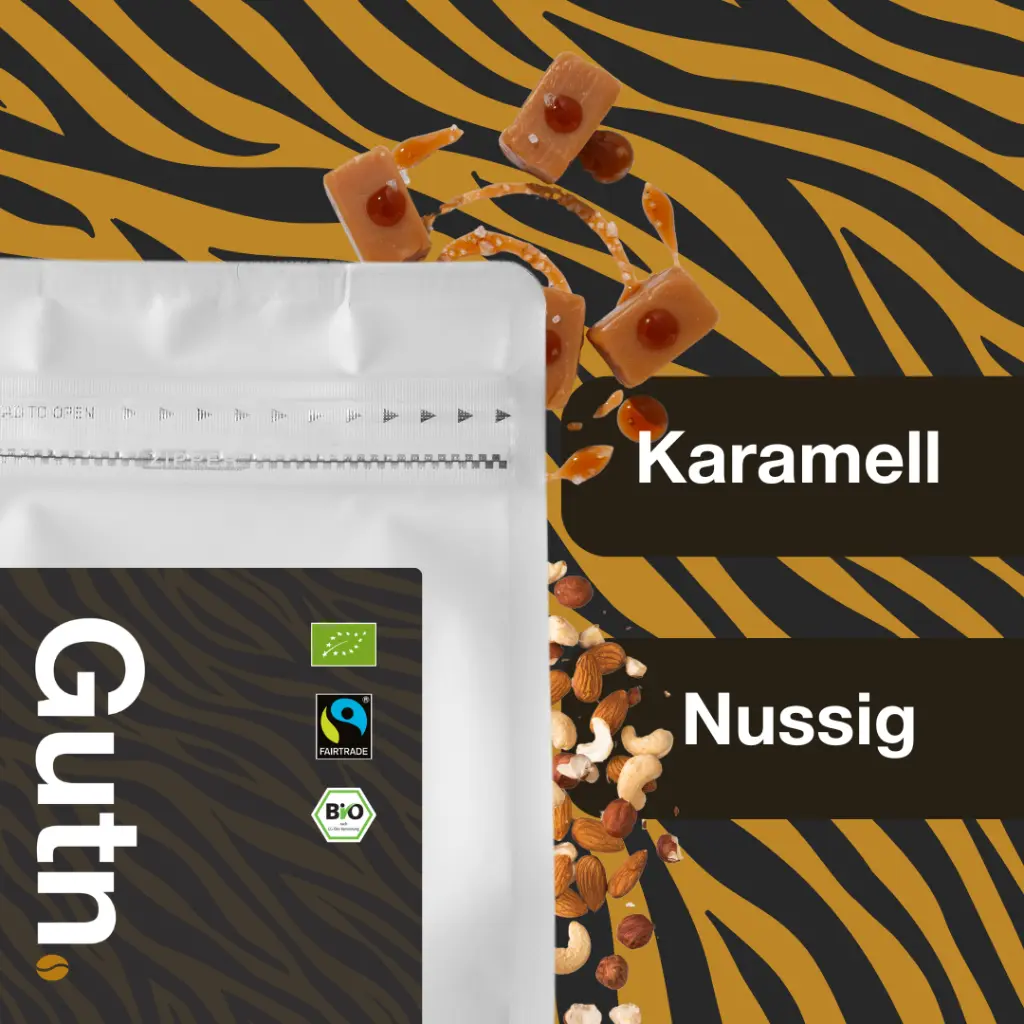 aroma.webp